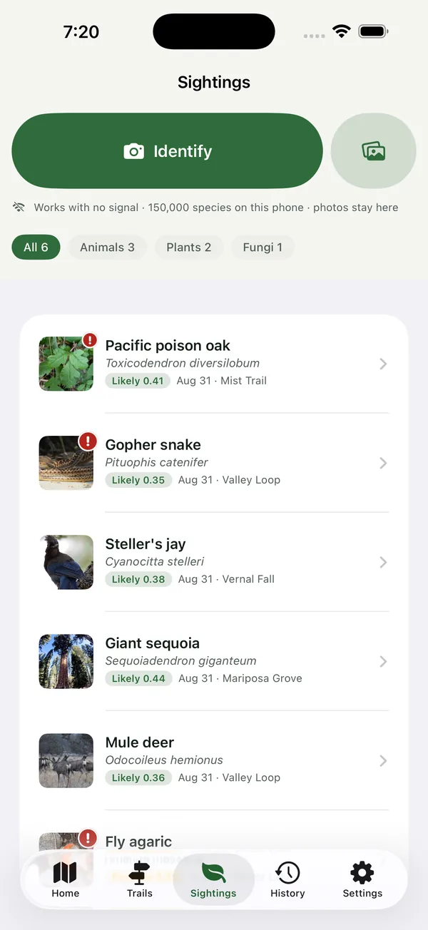 Sightings list with identified species, each with its confidence band, date and the hike it was seen on